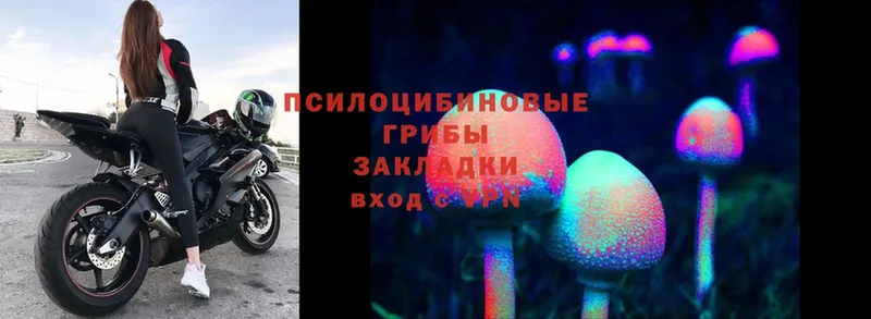 Псилоцибиновые грибы MAGIC MUSHROOMS  где купить   Балашов 